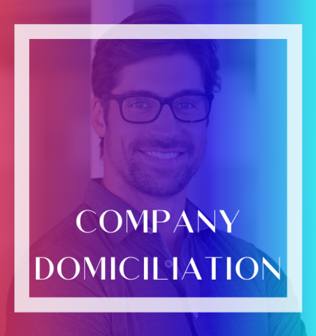 Home - Soft Consulting